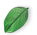 https://qleen.bold-themes.com/demo-01/wp-content/uploads/sites/2/2025/07/floating_leaf_01.png